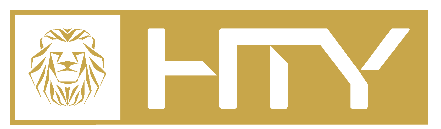 HTY Law — Michigan Personal Injury Attorneys